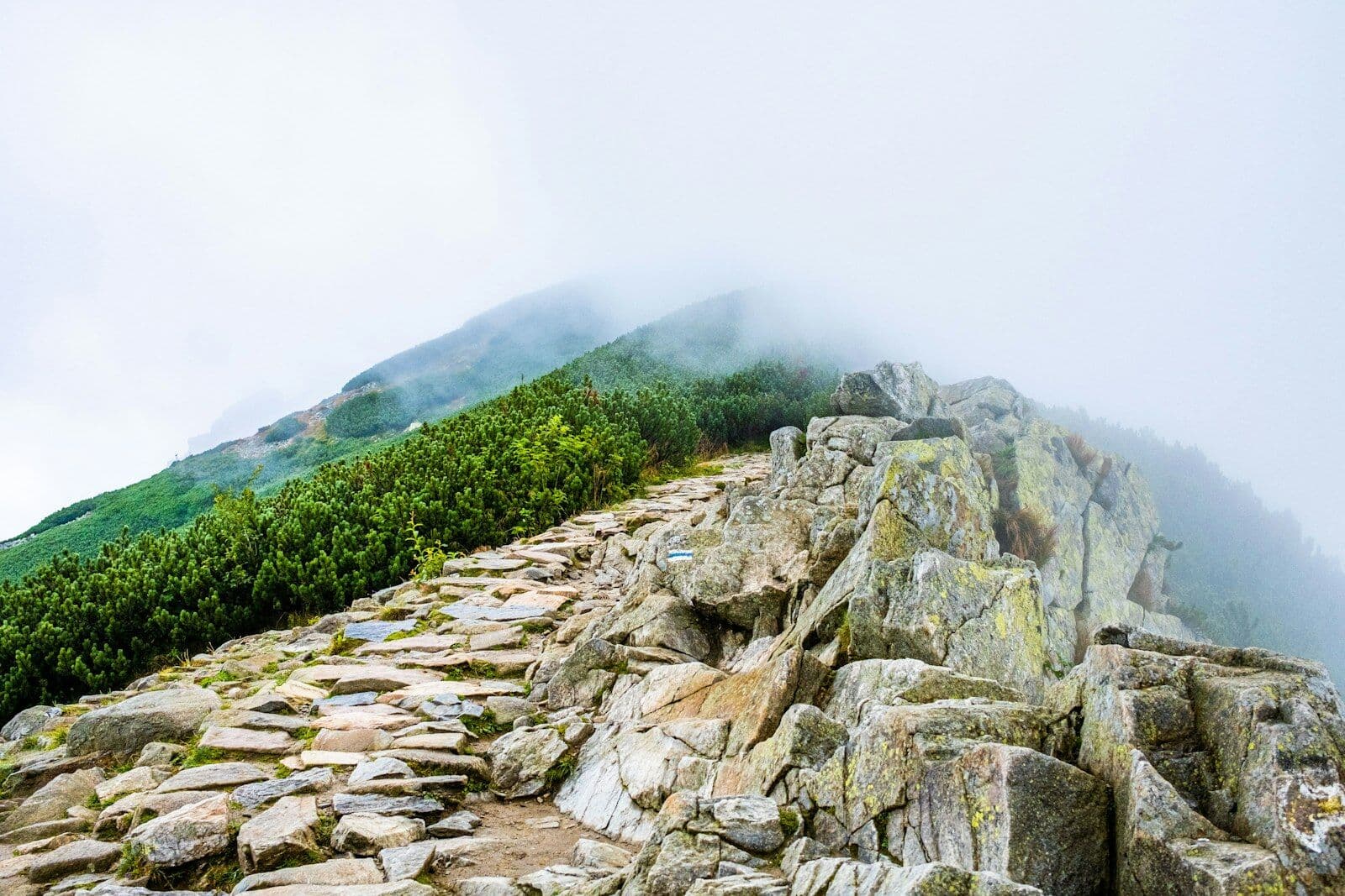 Steiniger Pfad, der bergauf im Nebel verschwindet